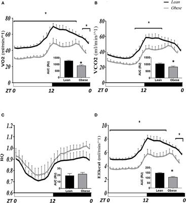 Obesity in male volcano mice Neotomodon alstoni affects the daily rhythm of metabolism and thermoregulation